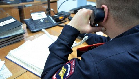В Угловском районе полицейские задержали подозреваемого в незаконной рубке и хищении сосен